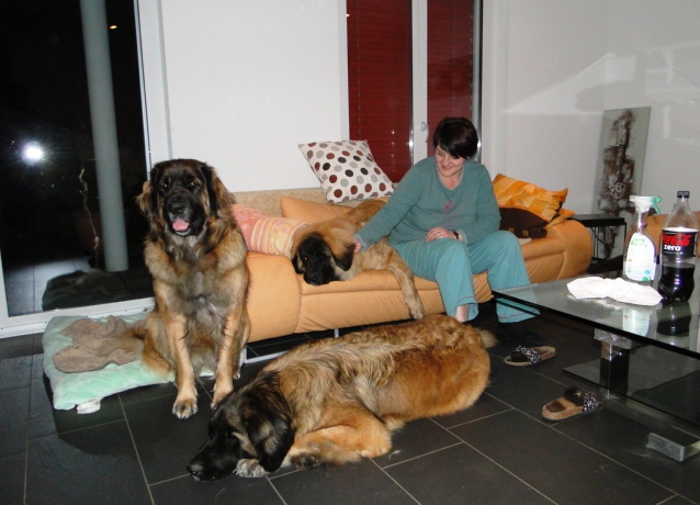 Damon3055.JPG - Damon bei uns auf Besuch