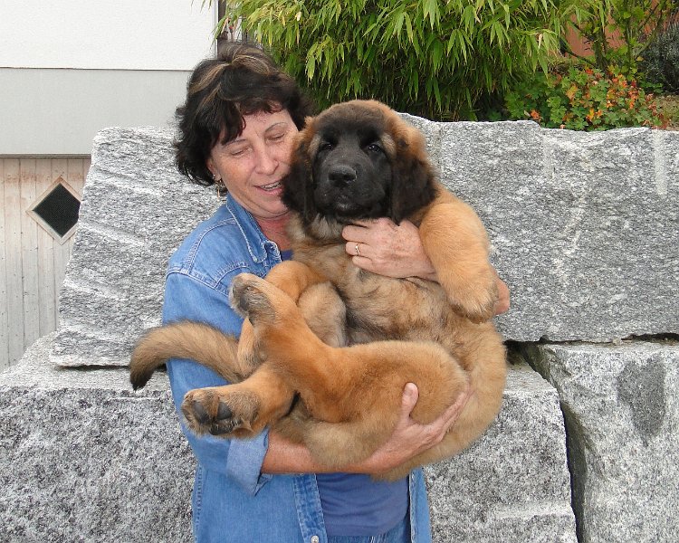 Danaida2614.JPG - Danaida mit Hedi
