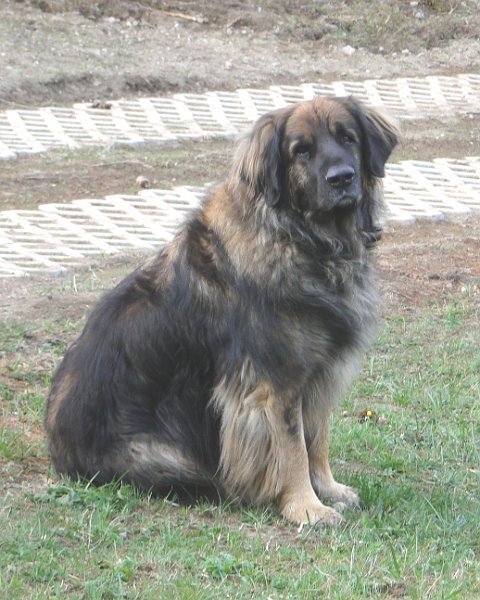 Eowyn4617.JPG - I'm a lonesome cowboy, waiting for a ride...