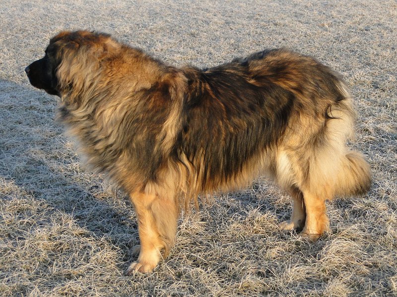 Eowyn4643.JPG - Endlich wieder Frühling...