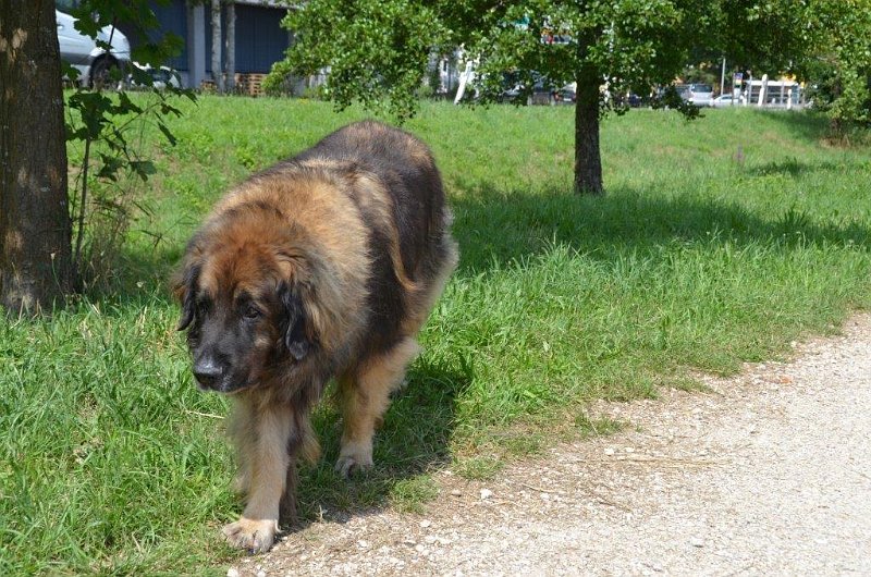 Eowyn4838.jpg - Nur nicht stressen!