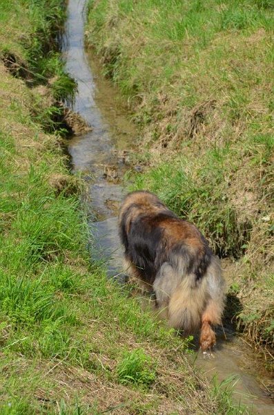Eowyn4839.jpg - und jetzt noch ein wenig "kneippen"
