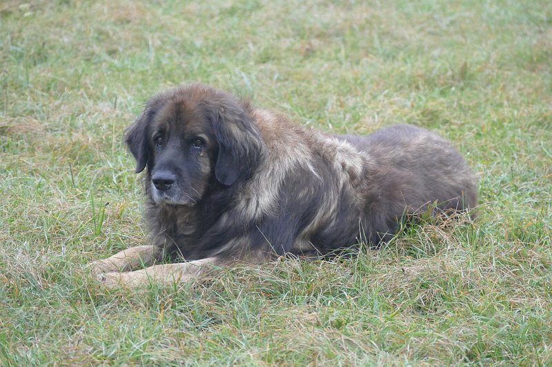 Eowyn4900.JPG - Kurze Pause nach diesem Stress!