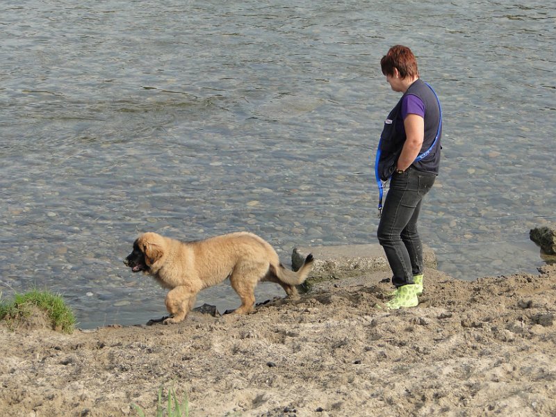 Jeffrey0734.JPG - Mama sucht Fische und ich helfe ihr mal kurz dabei