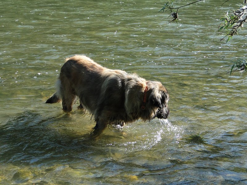 Laufey4310.JPG - Beim Hochseefischen
