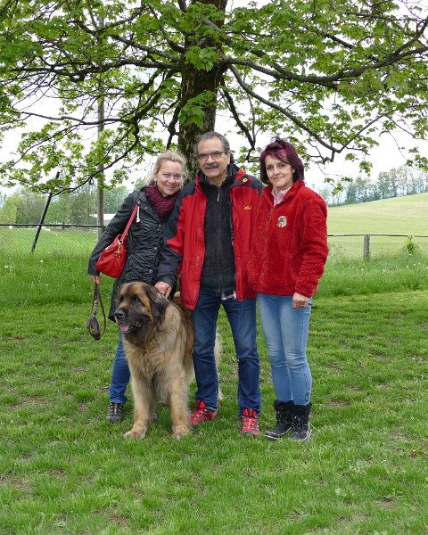 Treffen2017_0002.JPG - Welpentreffen 2017